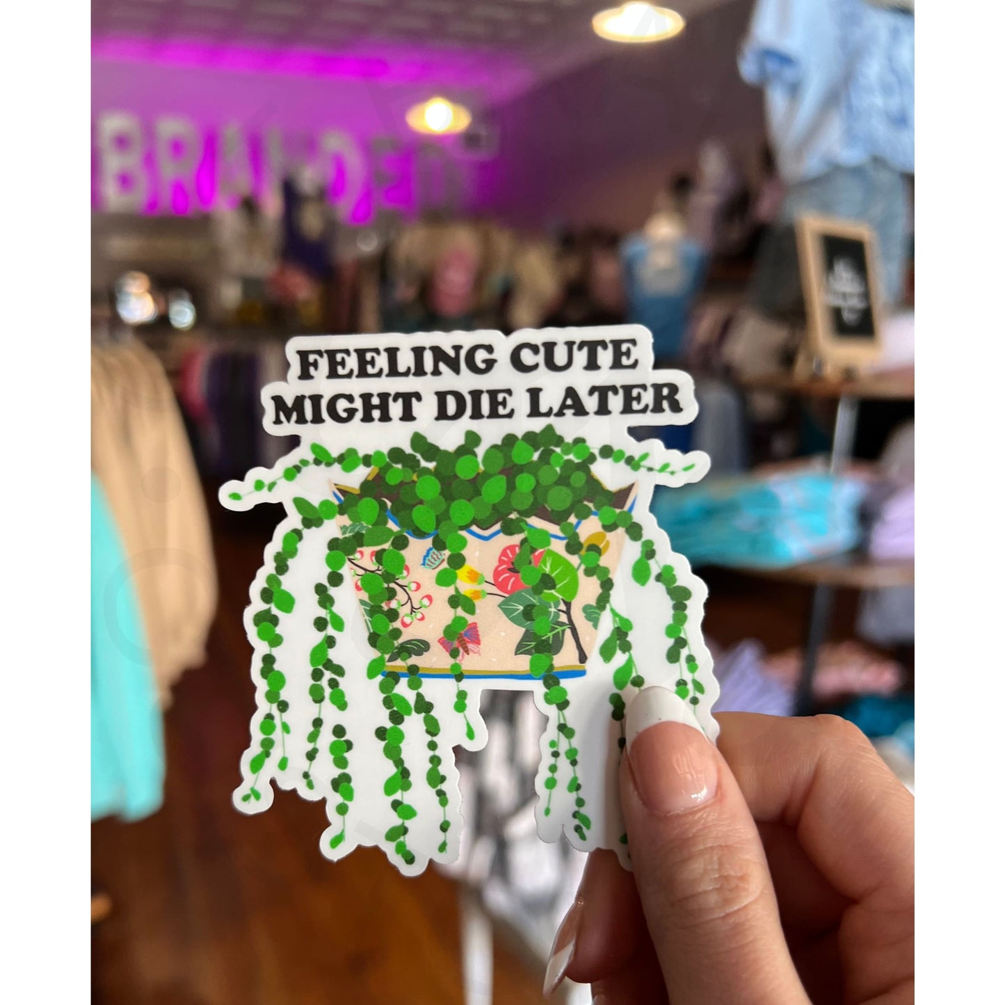 Feeling Cute My Die Later Plant Sticker Decal - Apparel &