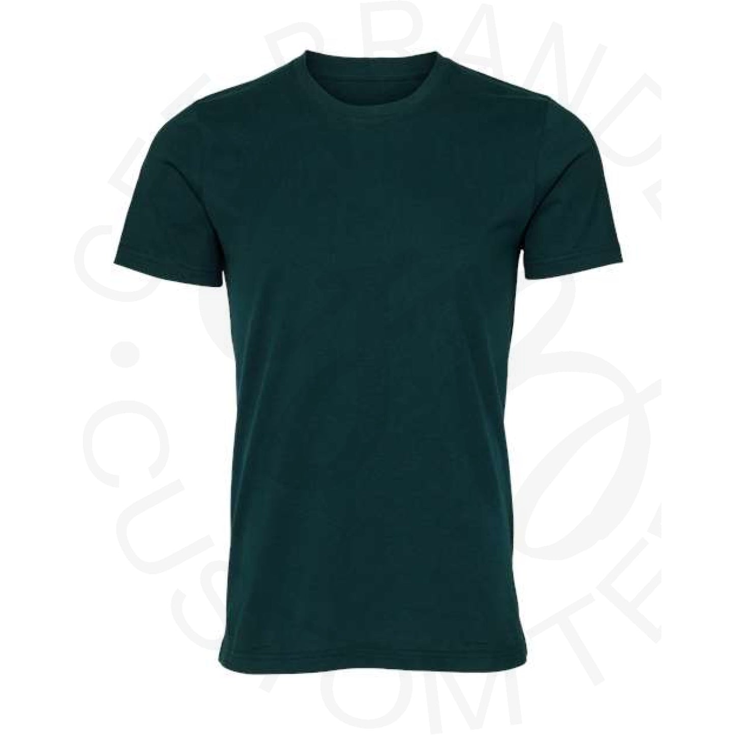 Bella Canvas Blank Tees - SM / Atlantic