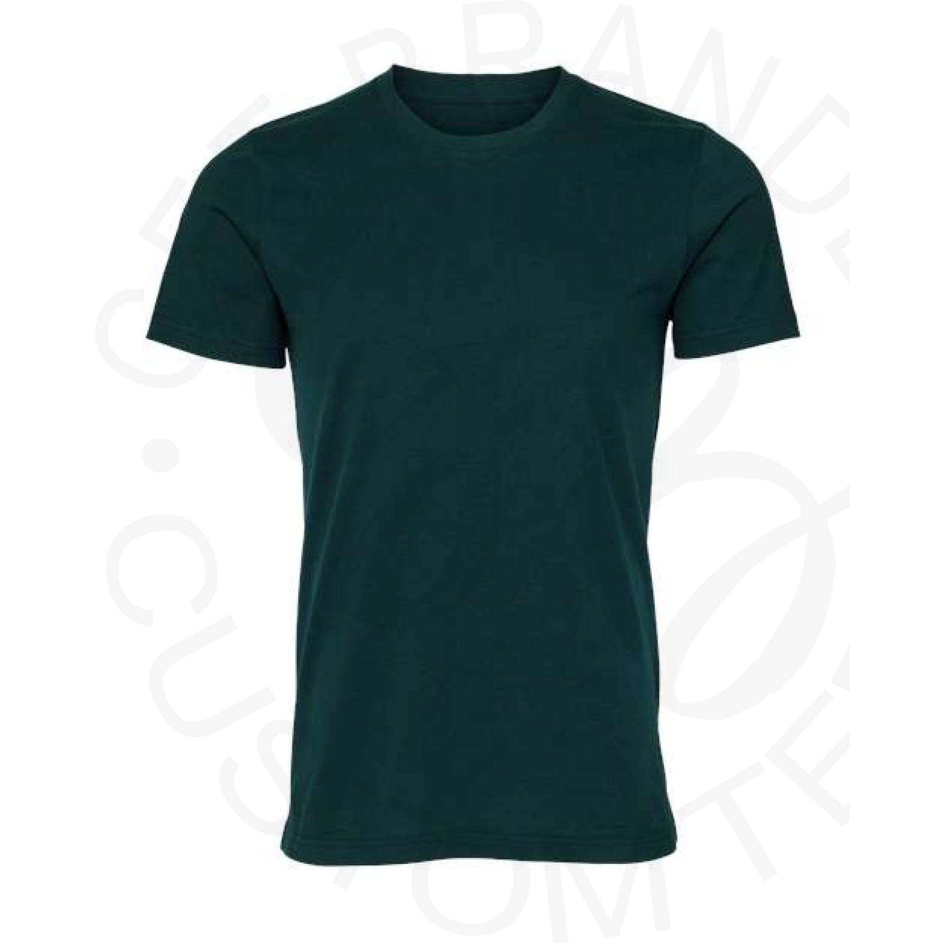 Bella Canvas Blank Tees - SM / Atlantic