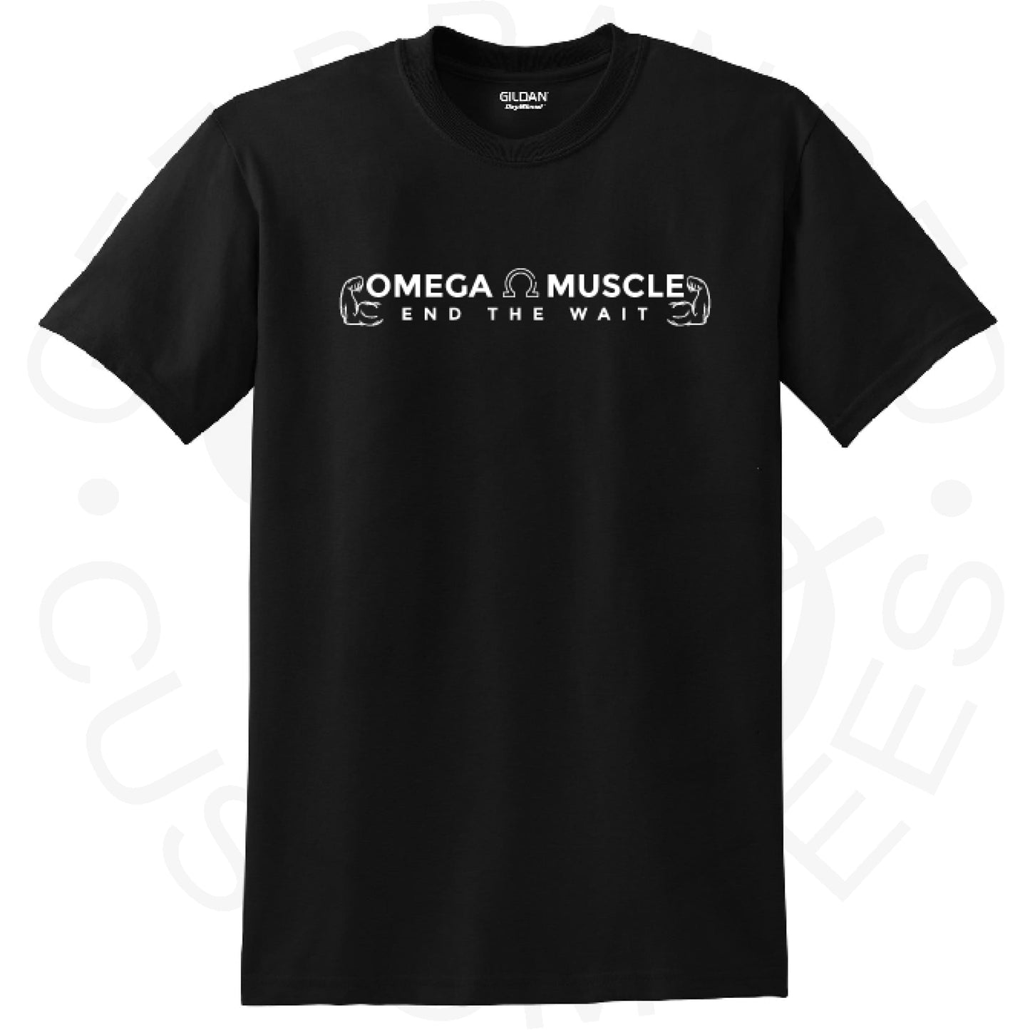Omega Muscle Short Sleeve T-Shirt- 2 brands