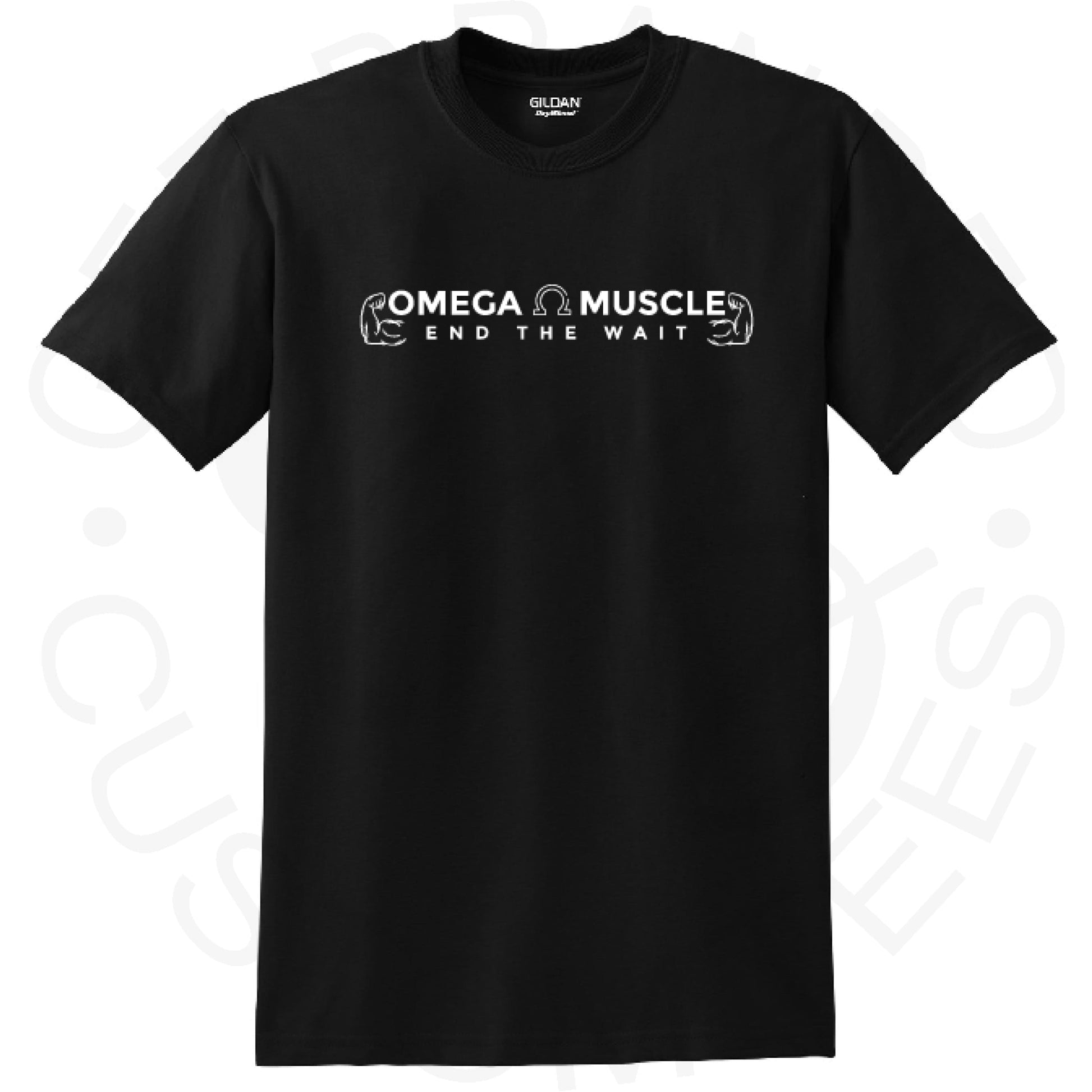 Omega Muscle Short Sleeve T-Shirt- 2 brands